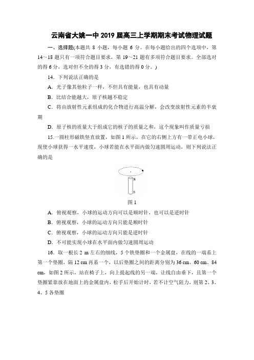 云南省大姚一中2019届高三上学期期末考试物理试题含解析