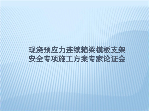 现浇箱梁施工专家论证PPT精品文档30页