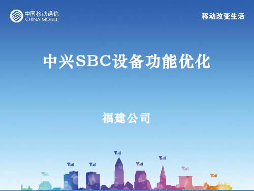中兴SBC设备黑白灰名单功能优化