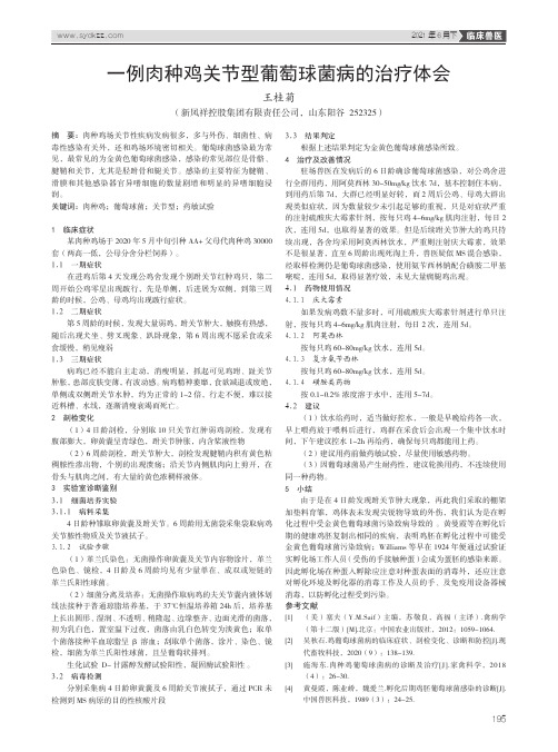 一例肉种鸡关节型葡萄球菌病的治疗体会