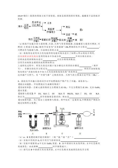 2013中考化学探究题