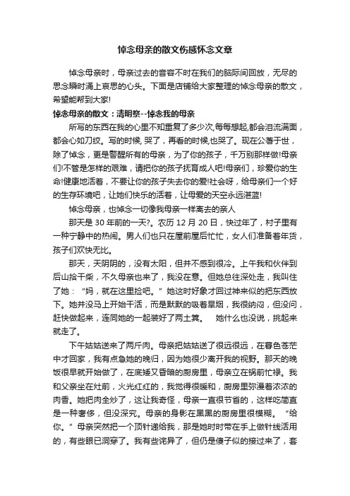 悼念母亲的散文伤感怀念文章