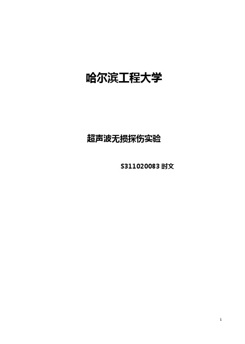 超声波探伤论文 (2)