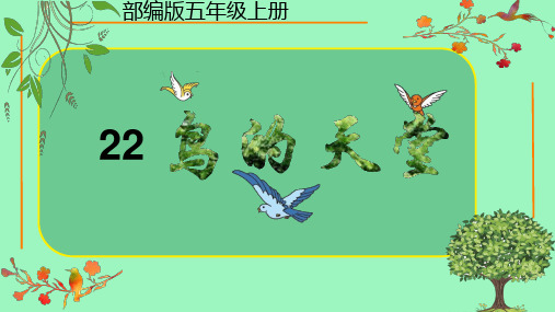 22鸟的天堂课件(共21张PPT).ppt