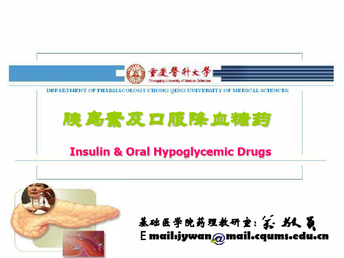 降血糖药大全