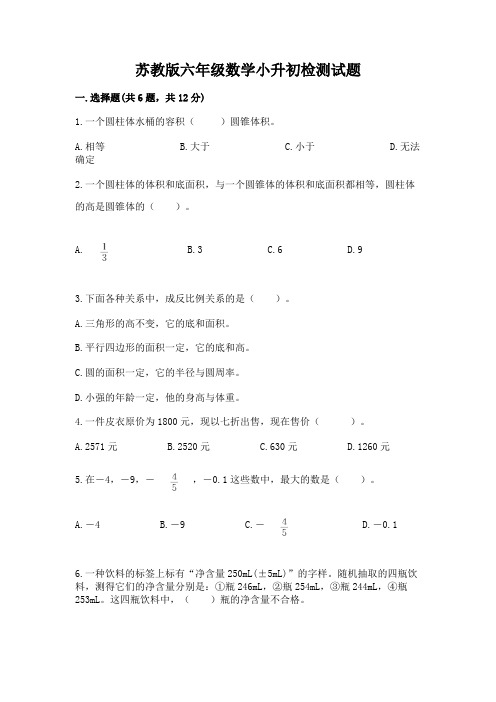 苏教版六年级数学小升初检测试题含解析答案