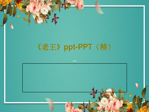 《老王》ppt-PPT(精)22页PPT