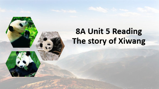 牛津译林版八年级英语上册8A Unit 5 Reading