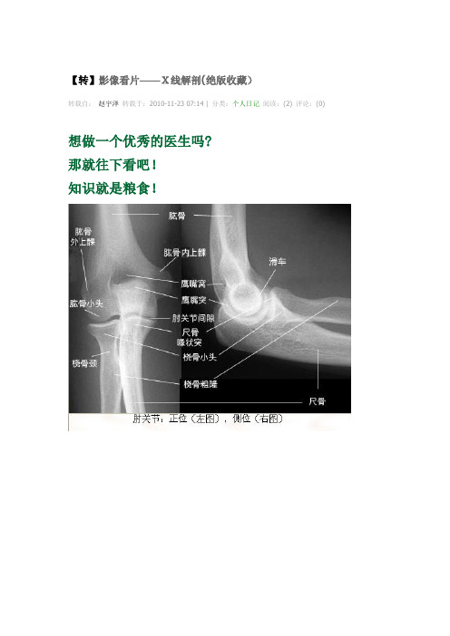 医学影像图谱