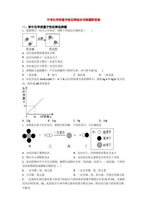 中考化学质量守恒定律综合训练题附答案