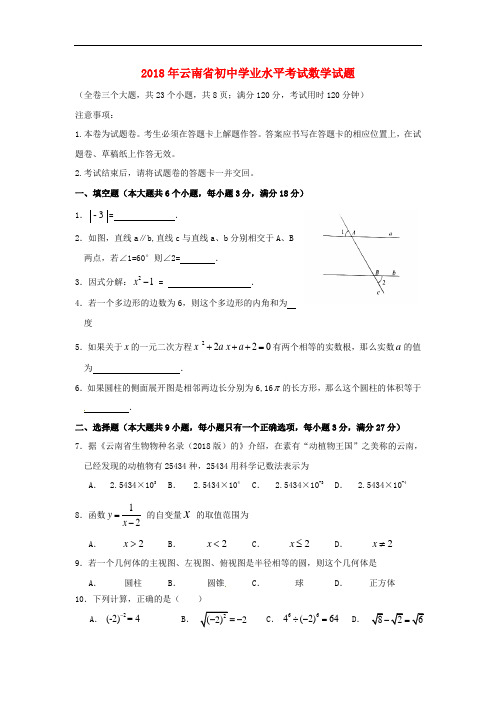 云南省2018年中考数学真题试题(含答案)