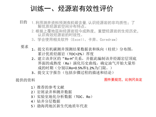 烃源岩有效性评价