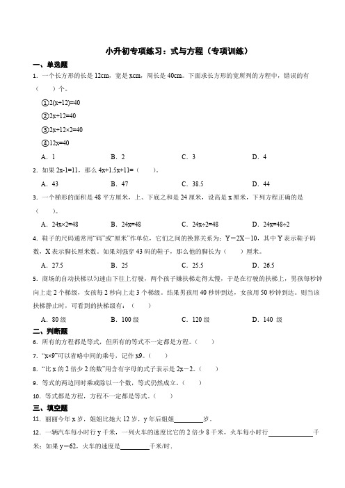 小升初专项练习：式与方程(专项训练)-2023-2024学年六年级下册数学人教版(含解析)