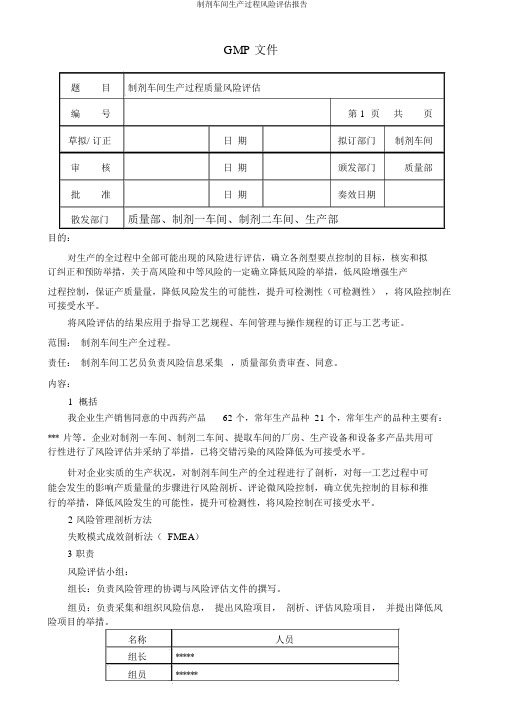 制剂车间生产过程风险评估报告