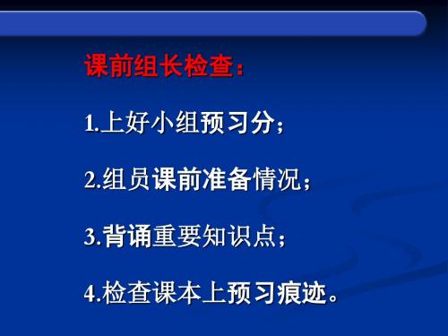 思品课件《共享经济繁荣成果》