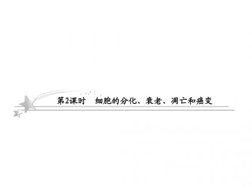 2013高考生物(苏教版)二轮复习课件 1-5-2 细胞的分化、衰老、凋亡和癌变