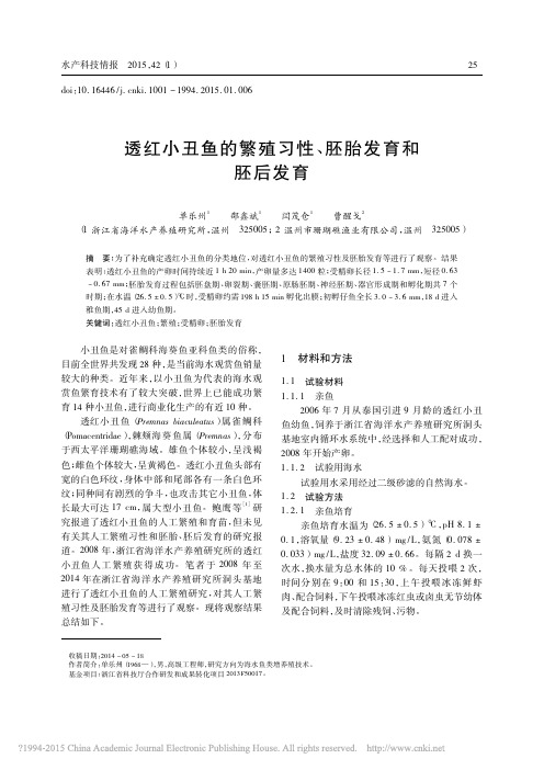 透红小丑鱼的繁殖习性_胚胎发育和胚后发育_单乐州