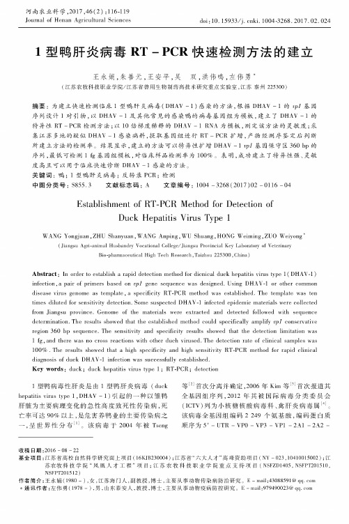 1型鸭肝炎病毒RT-PCR快速检测方法的建立