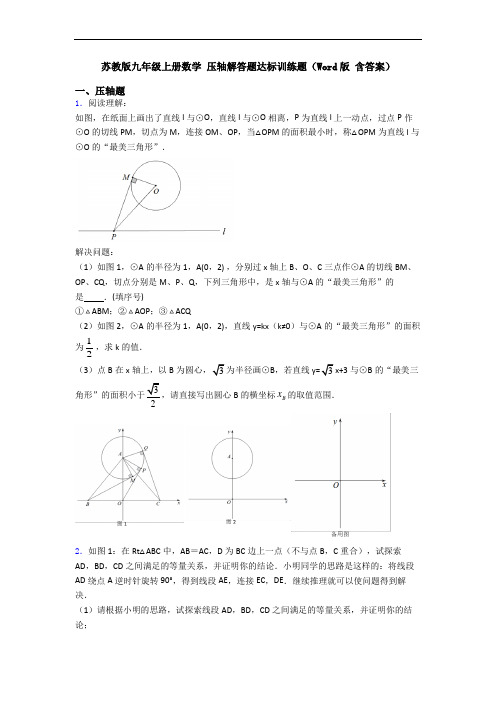 苏教版九年级上册数学 压轴解答题达标训练题(Word版 含答案)