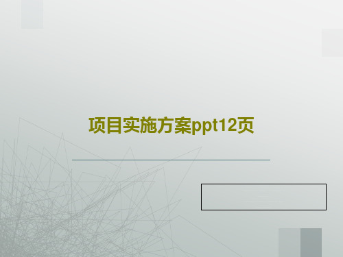 项目实施方案ppt12页PPT文档共33页