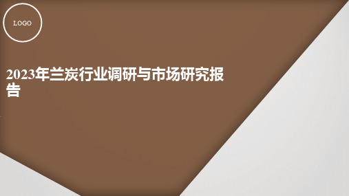 兰炭行业调研与市场研究报告2023年