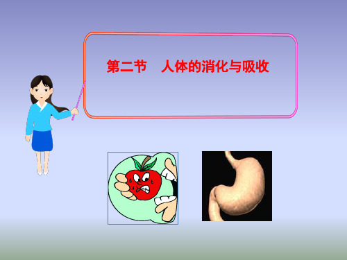 苏教版生物七年级下册9.2《人体的消化与吸收》课件2 (共37张PPT)