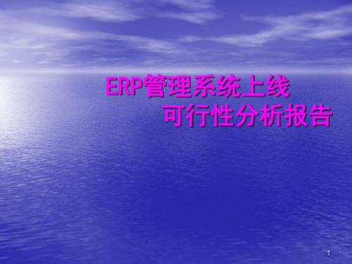 ERP系统上线方案报告ppt课件