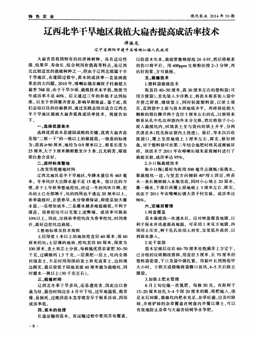 辽西北半干旱地区栽植大扁杏提高成活率技术