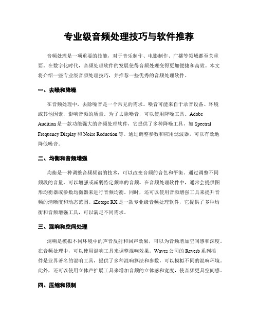 专业级音频处理技巧与软件推荐