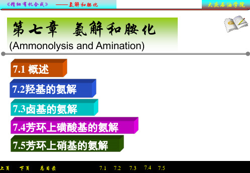 第七章氨解和胺化(AmmonolysisandAmination)