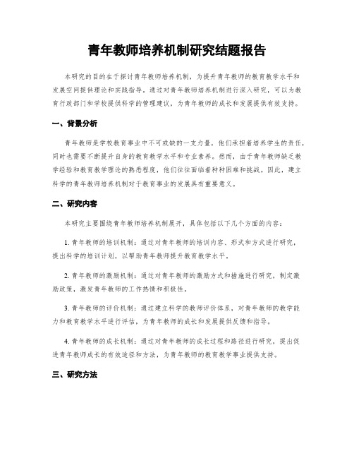 青年教师培养机制研究结题报告