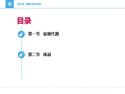 11.1能量代谢和体温PPT