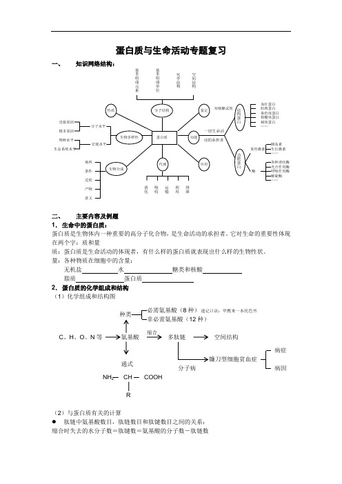 高三专题复习蛋白质