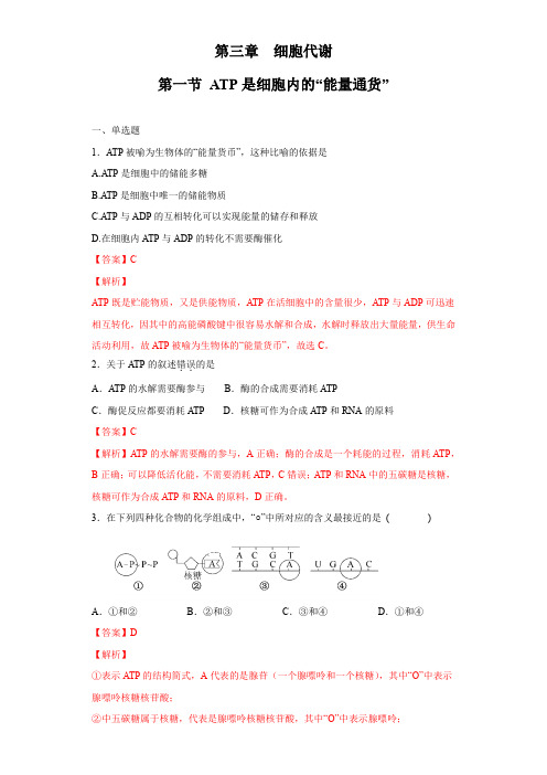 【新教材】3.1 ATP是细胞内的“能量通货” 练习-浙科版高中生物必修1分子与细胞(解析版)