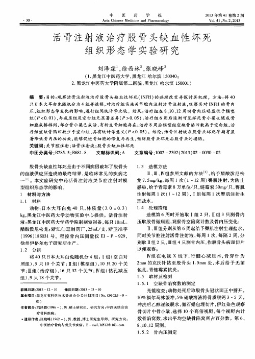 活骨注射液治疗股骨头缺血性坏死组织形态学实验研究