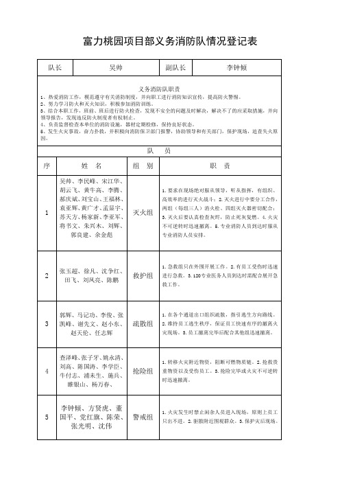 义务消防队情况登记表