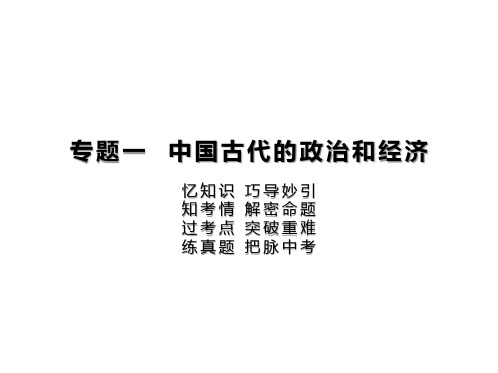 2020年人教版中考历史二轮专题复习讲义设计专题一 中国古代的政治和经济课件(共22张PPT)