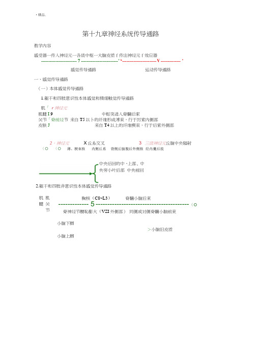 (方案)第十九章神经系统传导通路.doc