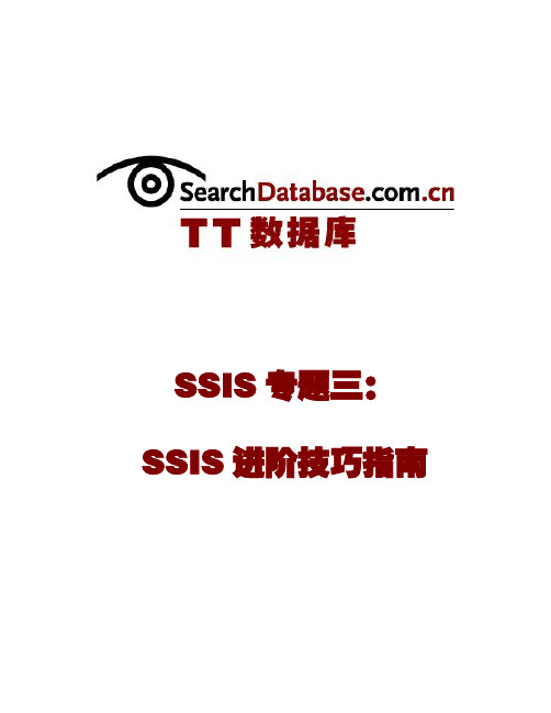 SSIS专题三：SSIS进阶技巧指南