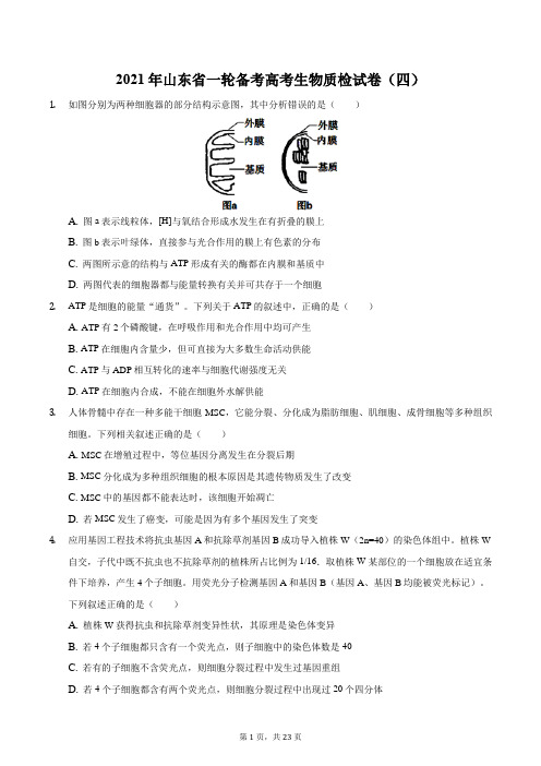 2021年山东省一轮备考高考生物质检试卷(四)