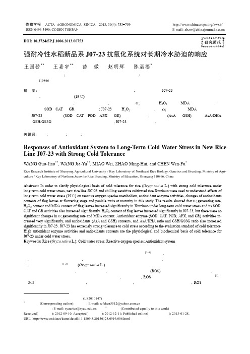 强耐冷性水稻新品系J07-23抗氧化系统对长期冷水胁迫的响应