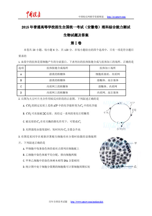 2015年全国高考理综(生物)试题及答案-安徽卷