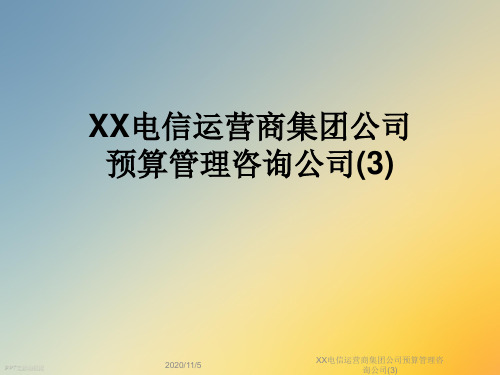 XX电信运营商集团公司预算管理咨询公司(3)