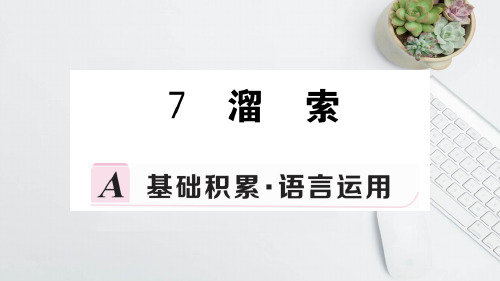 2019-2020学年度九年级语文下册第二单元7溜索习题