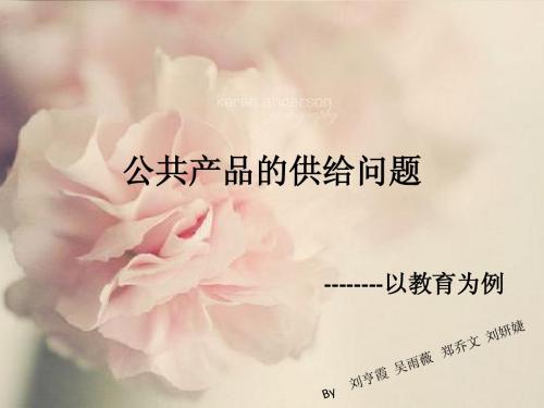 公共产品的供给与效率