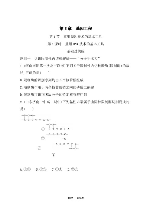 人教版高中生物选择性必修第3册基础过关练 第3章 基因工程 第1节第1课时 重组DNA技术的基本工具