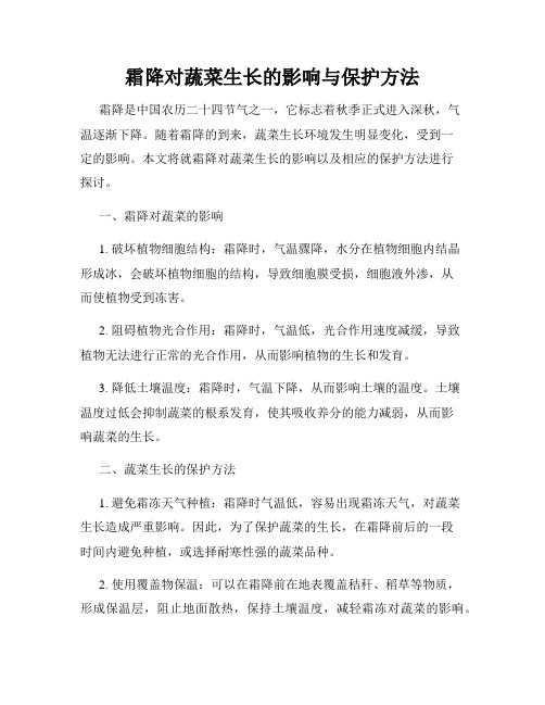 霜降对蔬菜生长的影响与保护方法