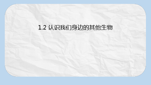 七年级生物上册1.2认识我们身边的其他生物课件北京课改版