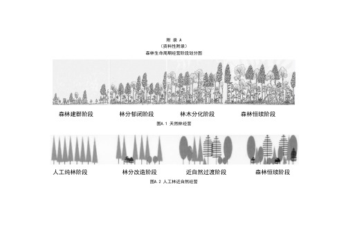 江西省森林经营主要乔木树种特征表、公益林及天然林主要森林经营作业法