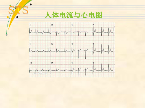 八年级上《电流的测量》ppt下载浙教版1